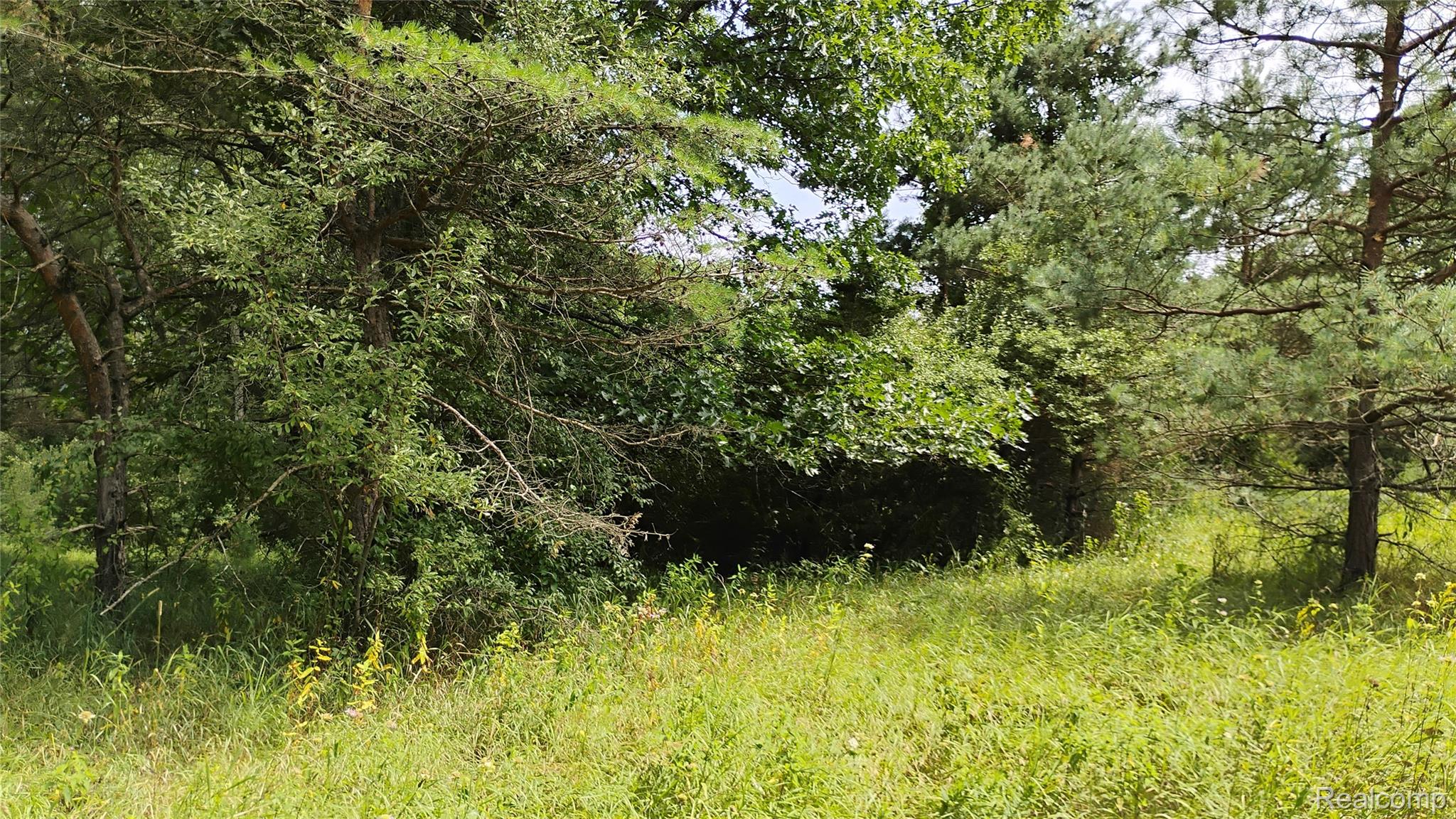 Parcel C photo 2.jpg