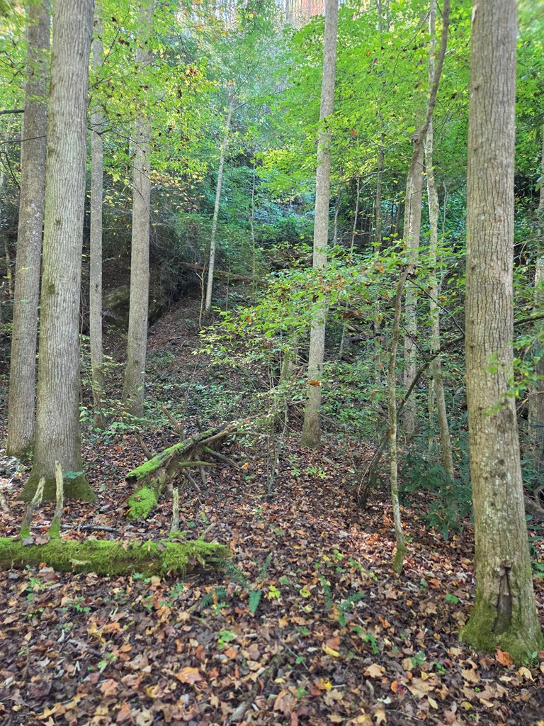 0 Lords Way Andrews, NC 28901 - Photo 2 of 14