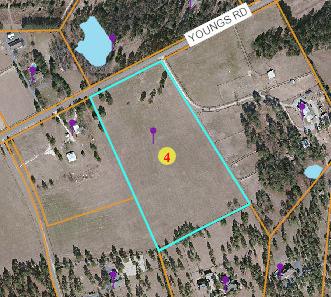1865 Youngs Road Vass, NC 28394 - Photo 13 of 13 Screen Shot 2019-02-13 at 12.11.36 PM