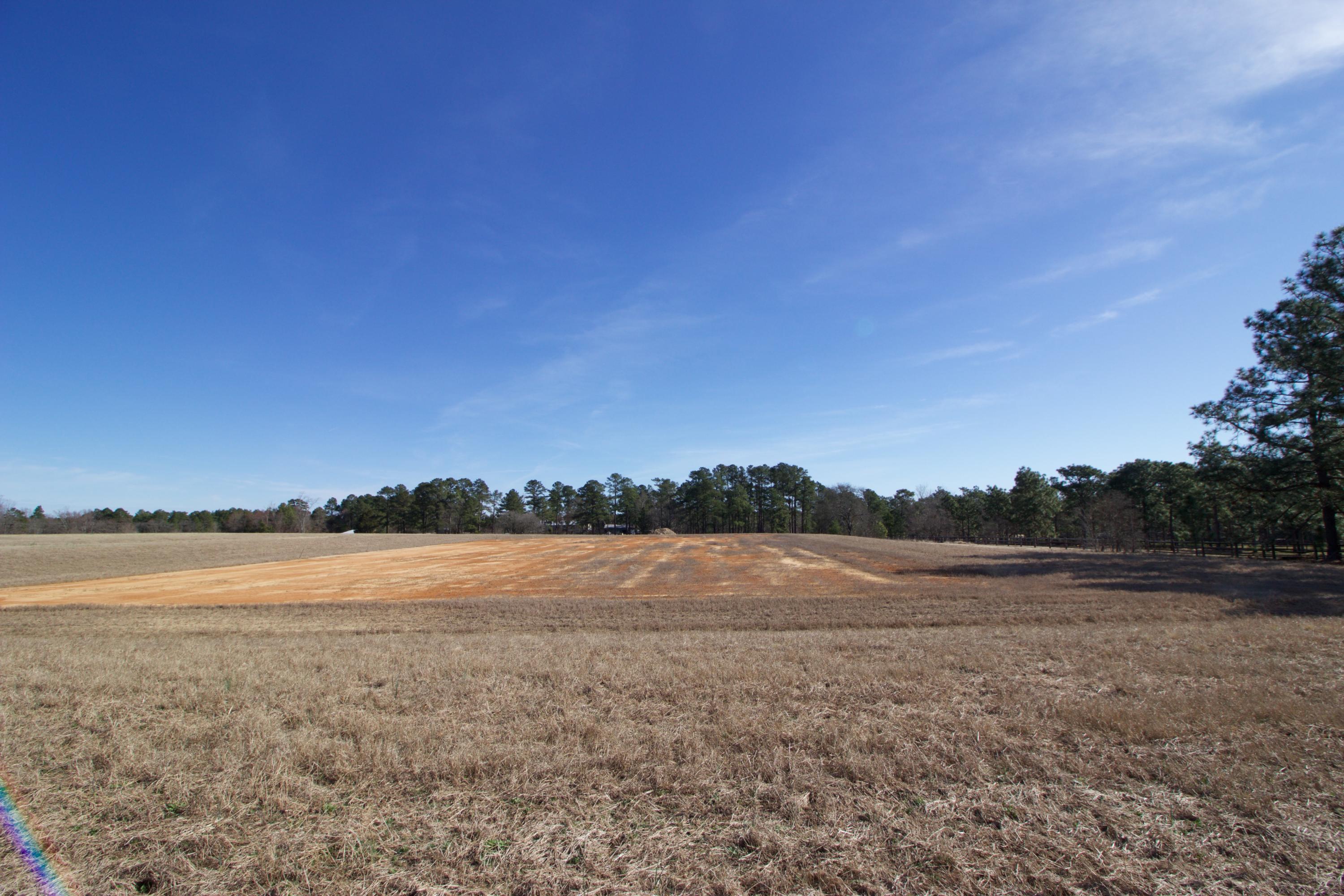1865 Youngs Road Vass, NC 28394 - Photo 7 of 13 IMG_3130