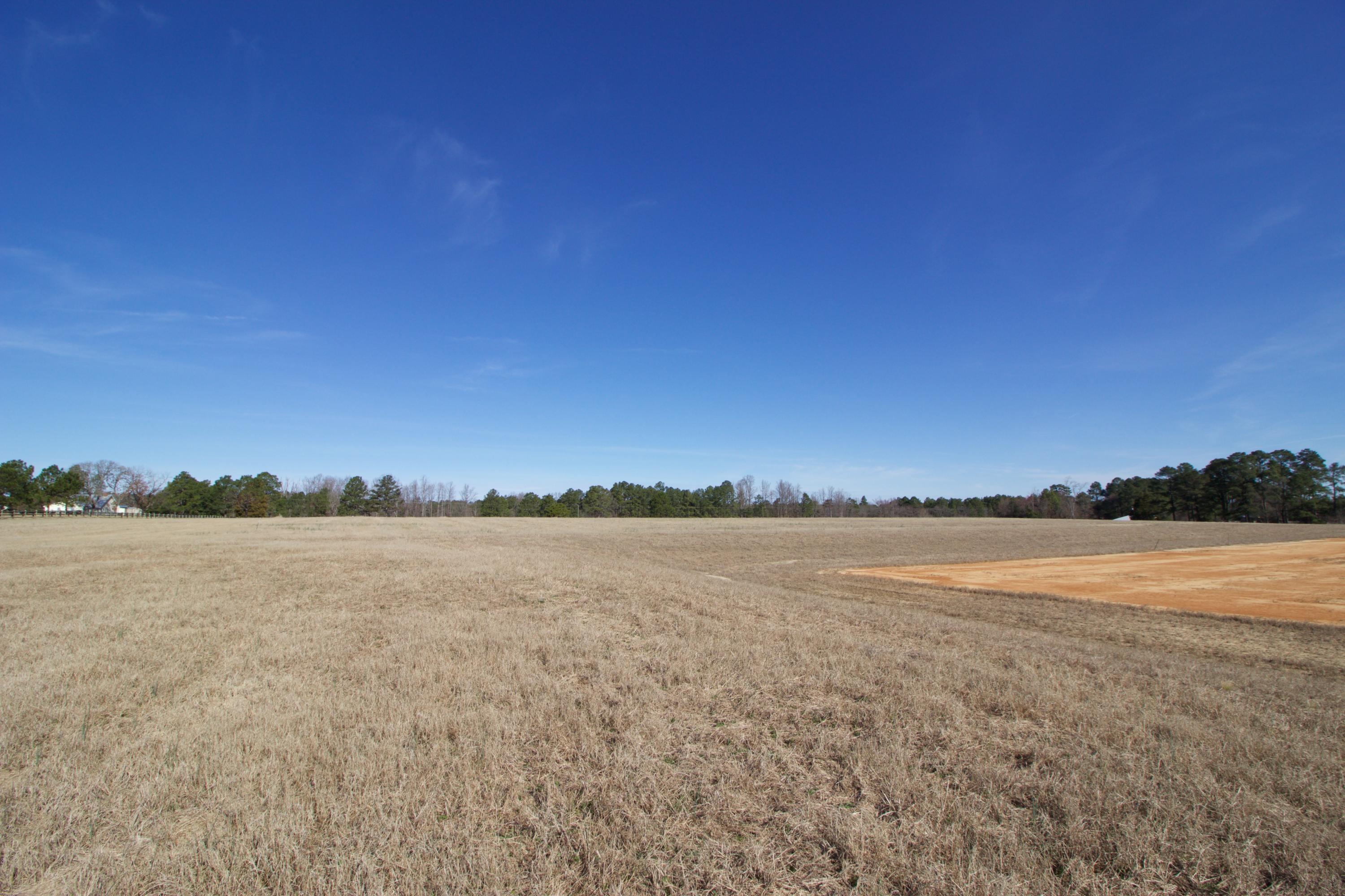 1865 Youngs Road Vass, NC 28394 - Photo 8 of 13 IMG_3131