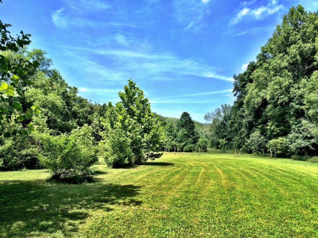 0 Price Road Rogersville, TN 37857 - Photo 1 of 13 Photo 1