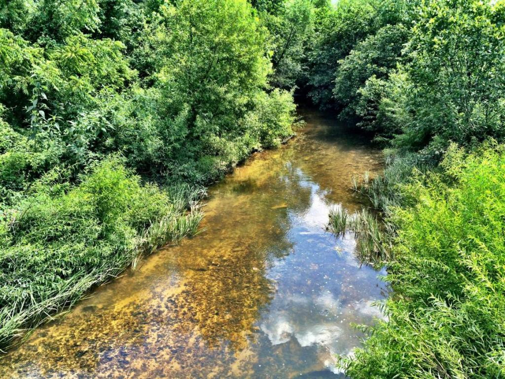 0 Price Road Rogersville, TN 37857 - Photo 11 of 13 Photo 11
