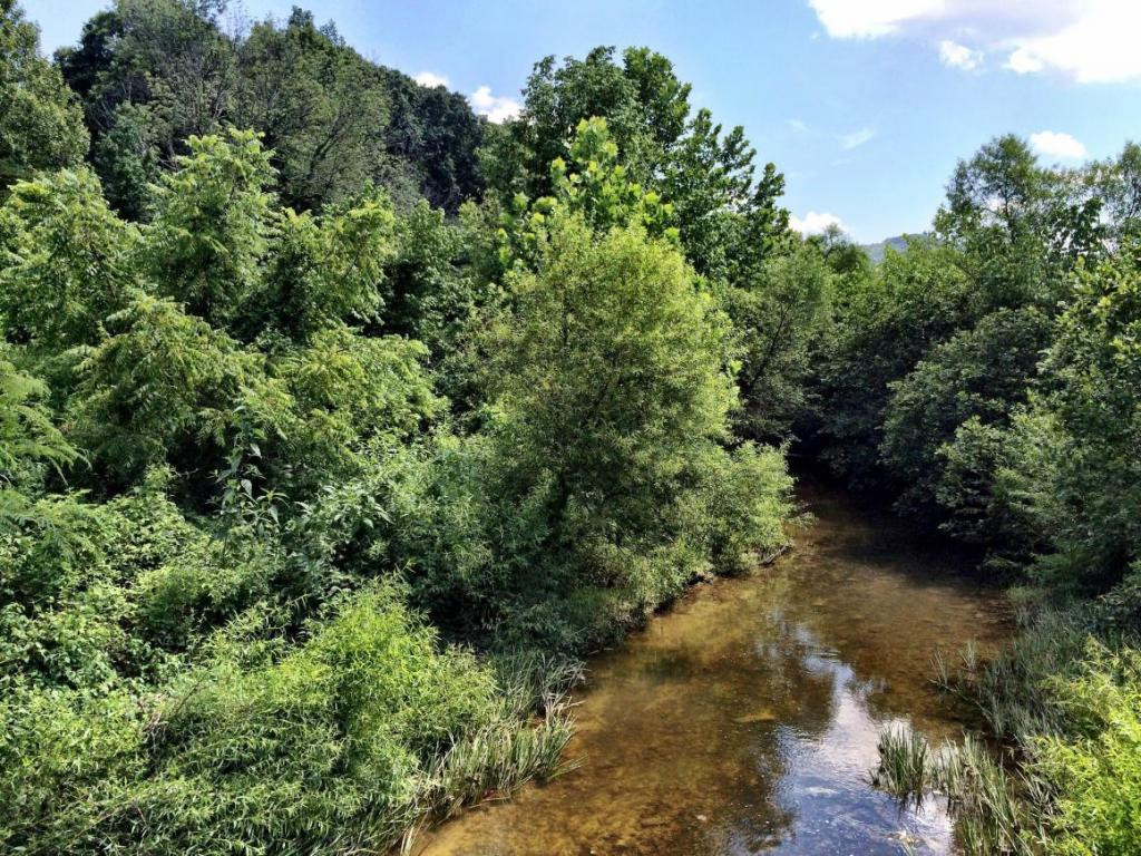 0 Price Road Rogersville, TN 37857 - Photo 12 of 13 Photo 12