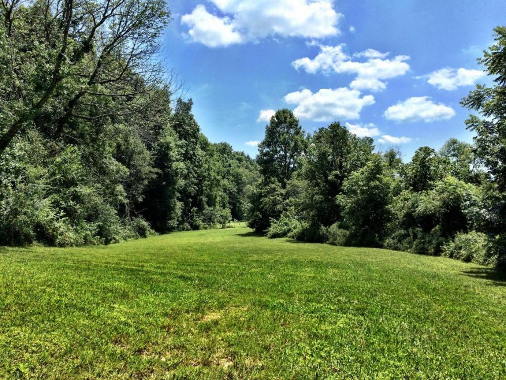 0 Price Road Rogersville, TN 37857 - Photo 2 of 13 Photo 2
