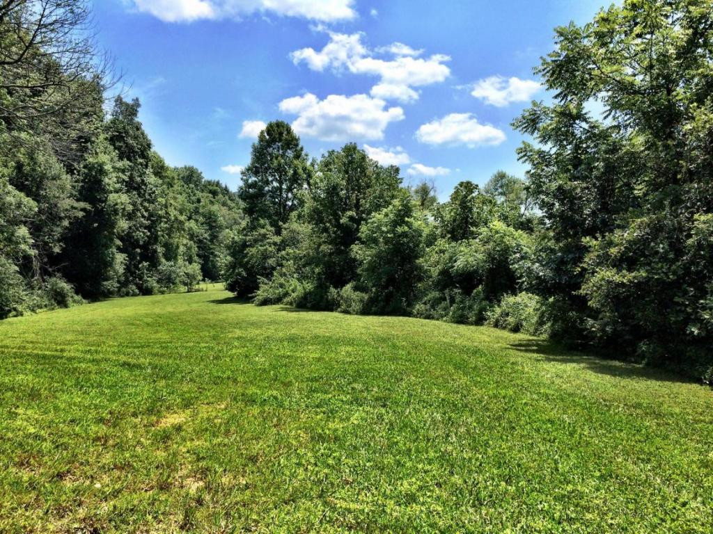 0 Price Road Rogersville, TN 37857 - Photo 3 of 13 Photo 3
