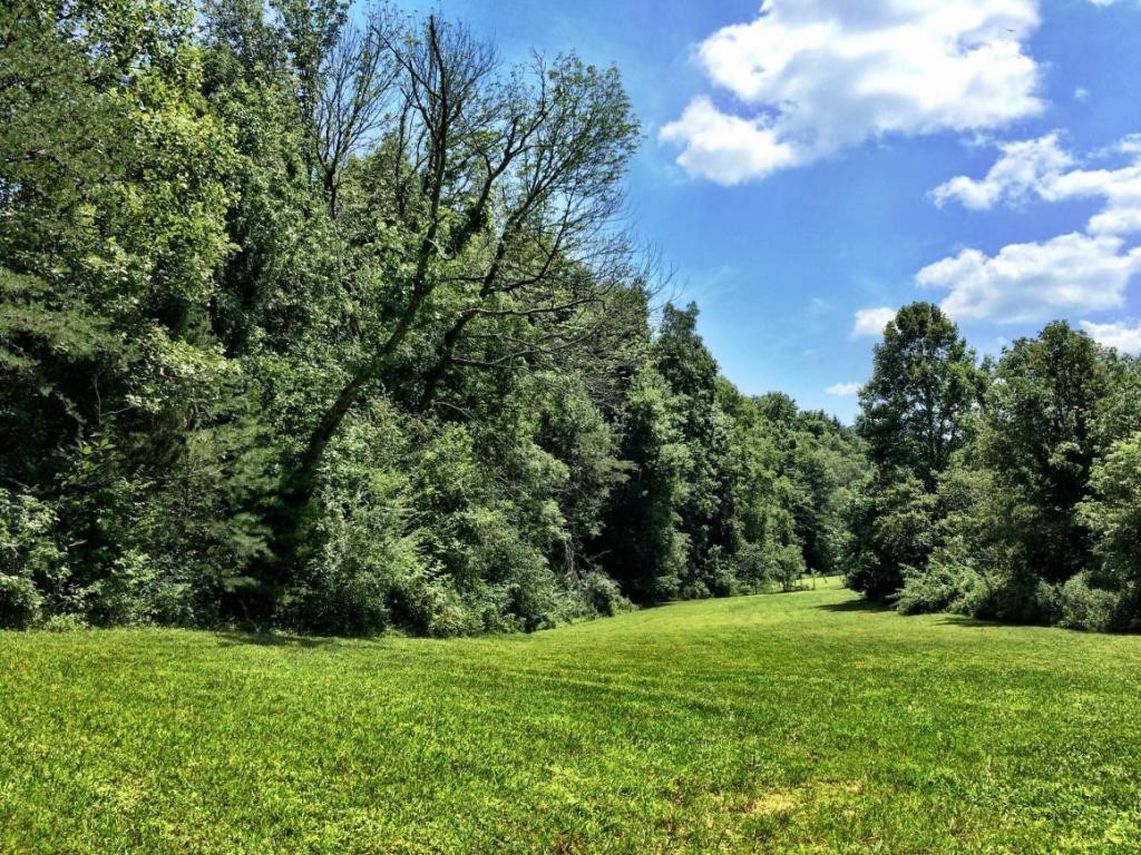 0 Price Road Rogersville, TN 37857 - Photo 4 of 13 Photo 4