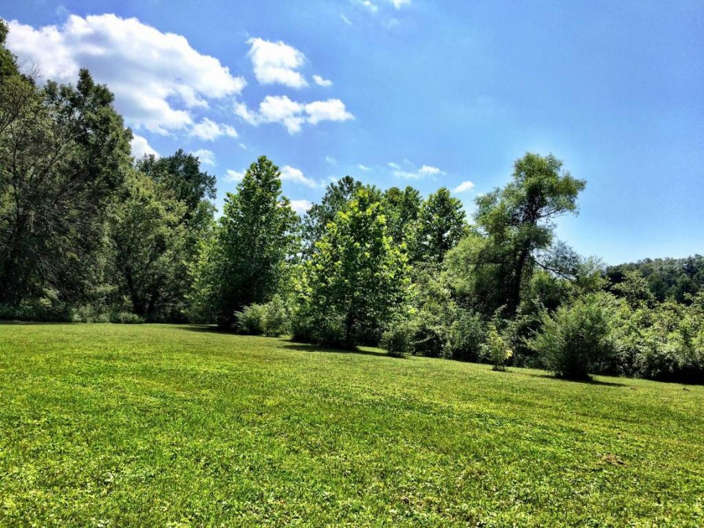 0 Price Road Rogersville, TN 37857 - Photo 6 of 13 Photo 6