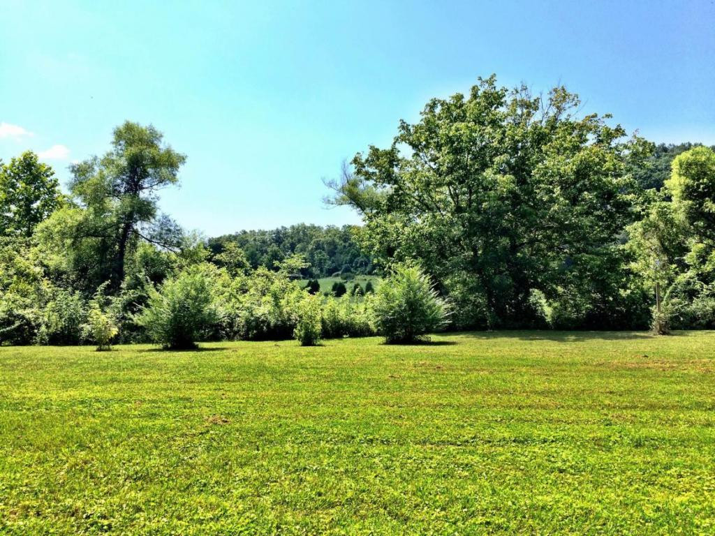 0 Price Road Rogersville, TN 37857 - Photo 7 of 13 Photo 7
