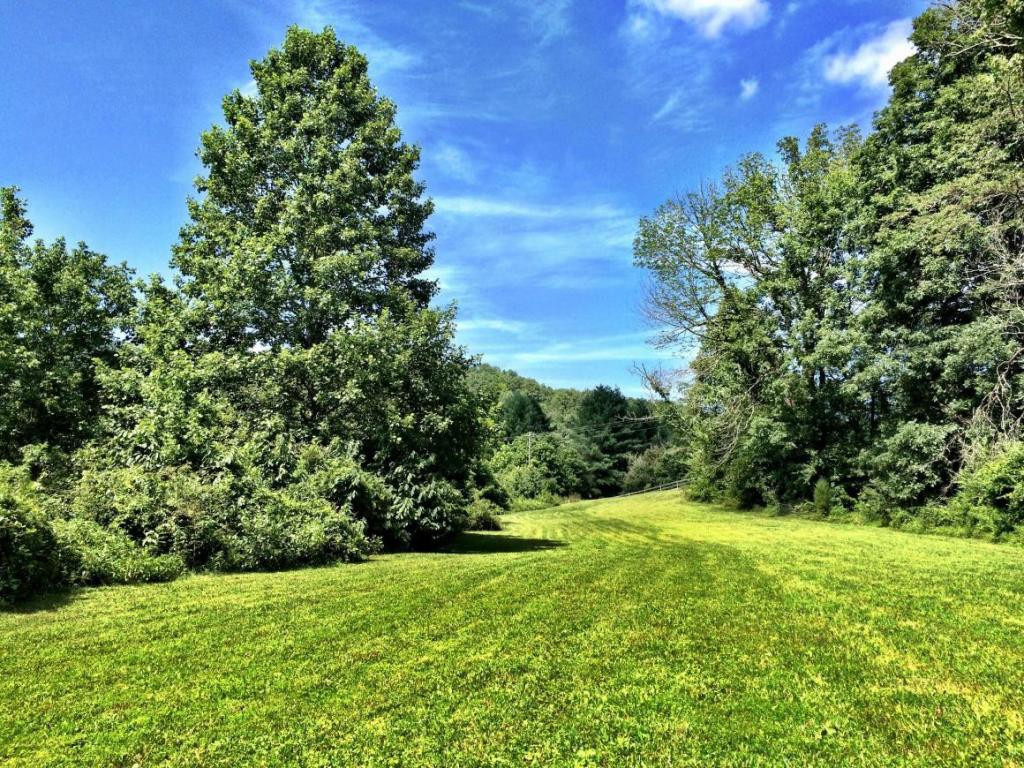 0 Price Road Rogersville, TN 37857 - Photo 8 of 13 Photo 8