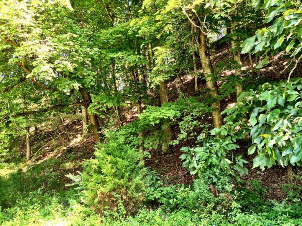 0 Price Road Rogersville, TN 37857 - Photo 9 of 13 Photo 9