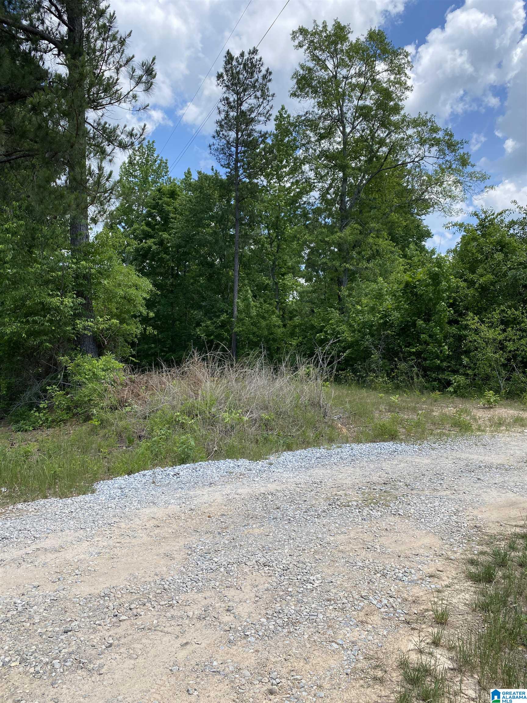 5942 Stemley Road, Unit 1 Talladega, AL 35160 - Photo 6 of 14