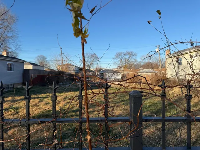 a view of a chairs and table in the patio