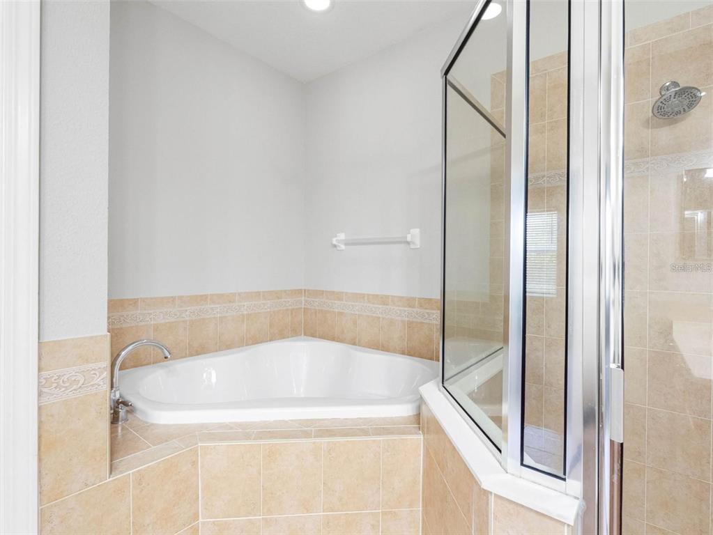 12820 Belvedere Song Way Riverview, FL 33578 - Photo 23 of 45