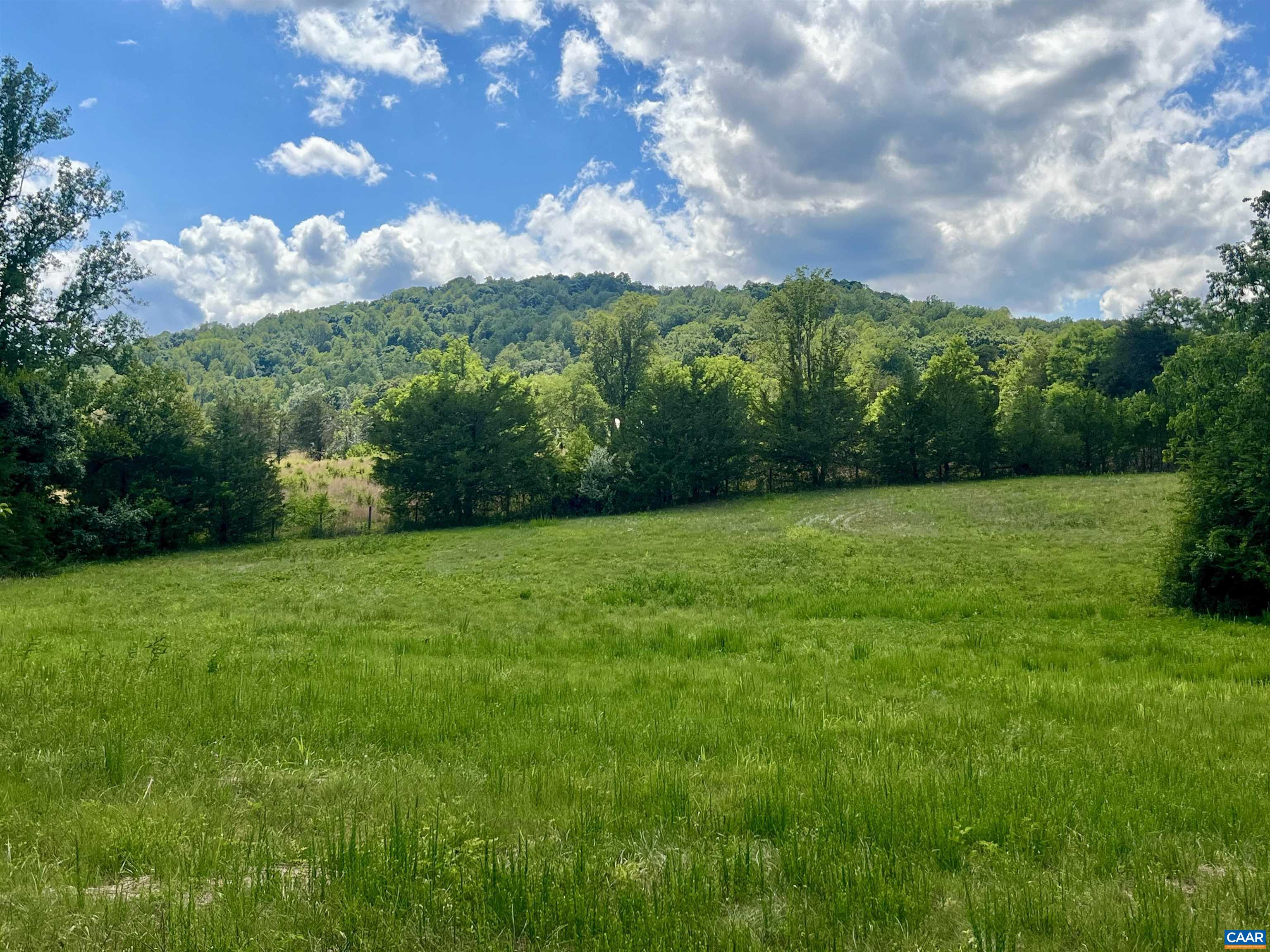 Burchs Creek Road Crozet, VA 22932 - Photo 4 of 13