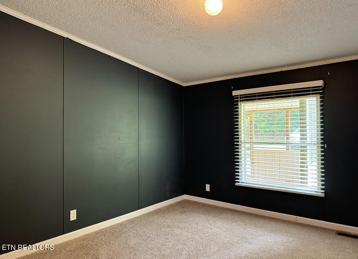 12809 Brimstone Road Robbins, TN 37852 - Photo 32 of 54 FullSizeRender