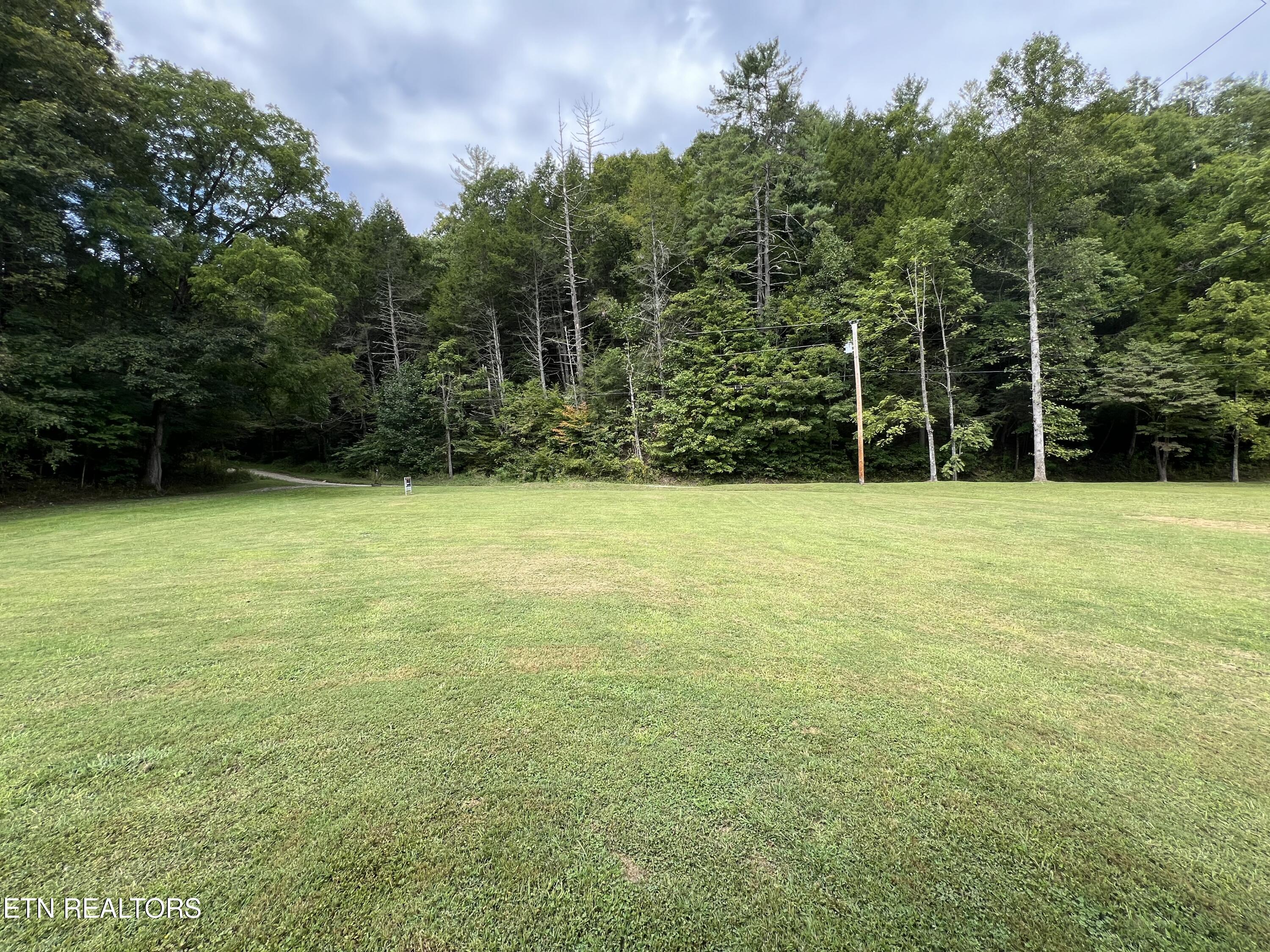 12809 Brimstone Road Robbins, TN 37852 - Photo 46 of 54 IMG_7616