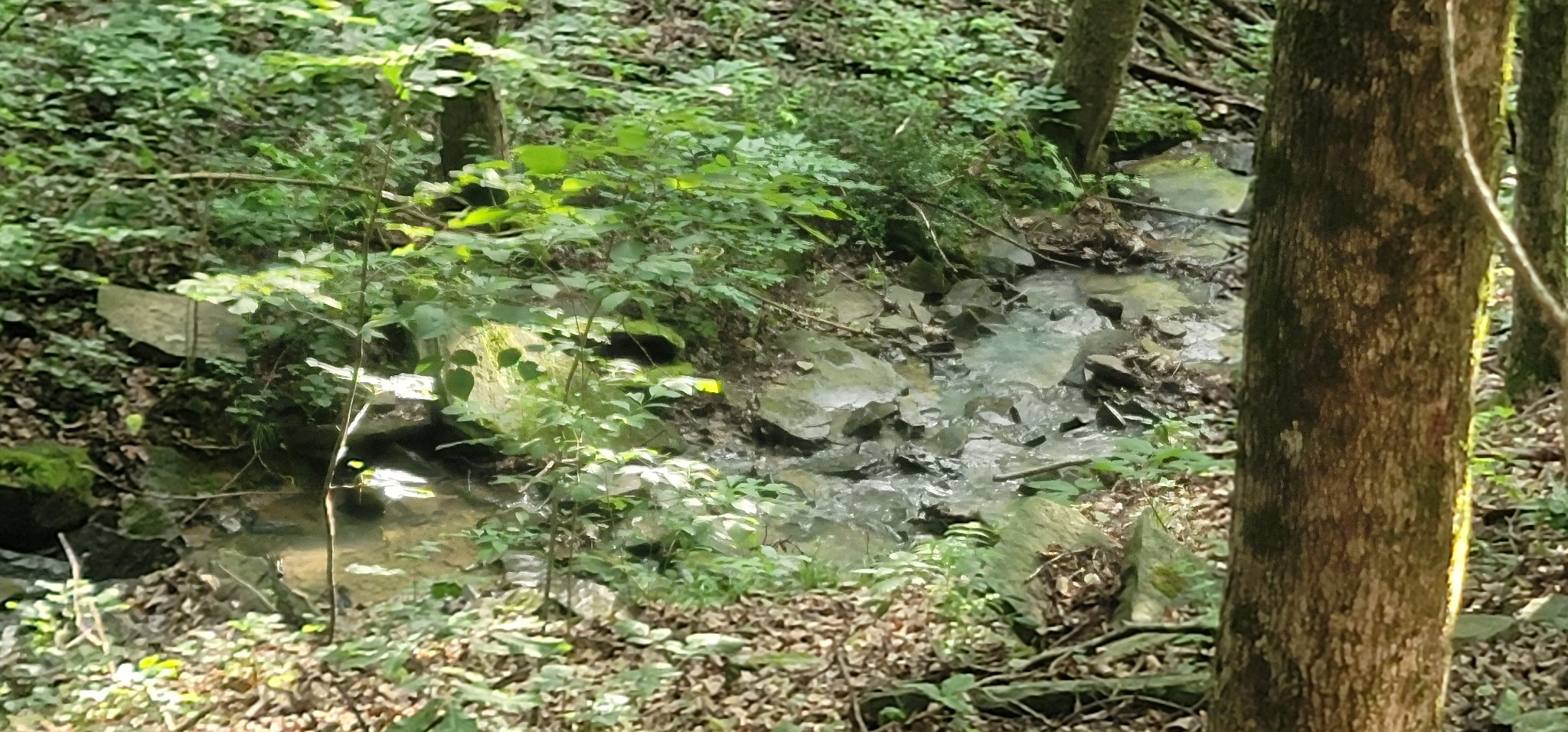 1250 Yellow Flats Road Spencer, TN 38585 - Photo 6 of 42