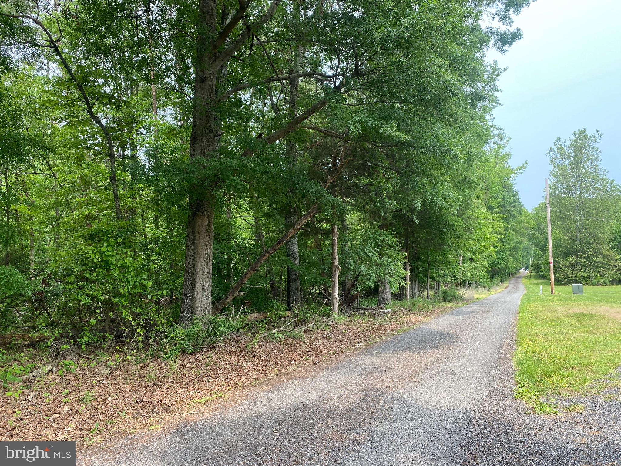 a view of a road with trees in the background
