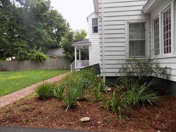 12 Maplewood Terrace Springfield, MA 01108 - Photo 6 of 30