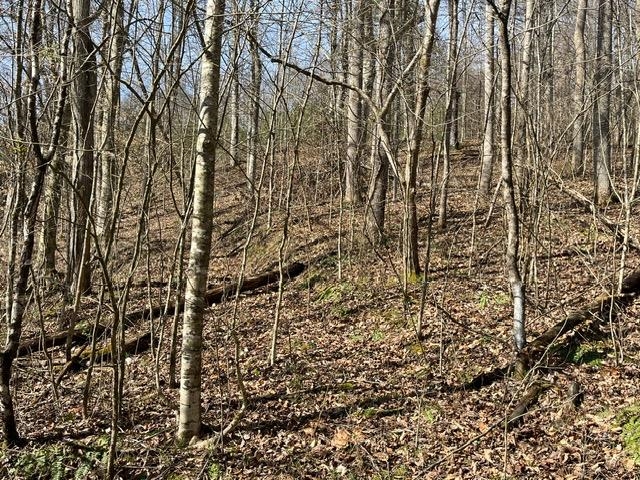 326 Earl Crisp Road Sandy Hook, KY 41171 - Photo 3 of 10