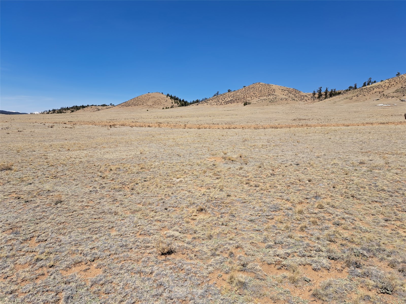 5620 Jackson Road Hartsel, CO 80449 - Photo 1 of 28 Gallery Image 1