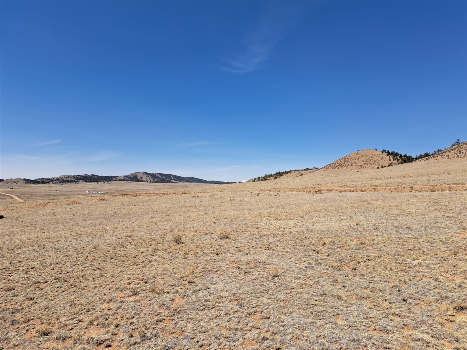 5620 Jackson Road Hartsel, CO 80449 - Photo 13 of 28 Gallery Image 13