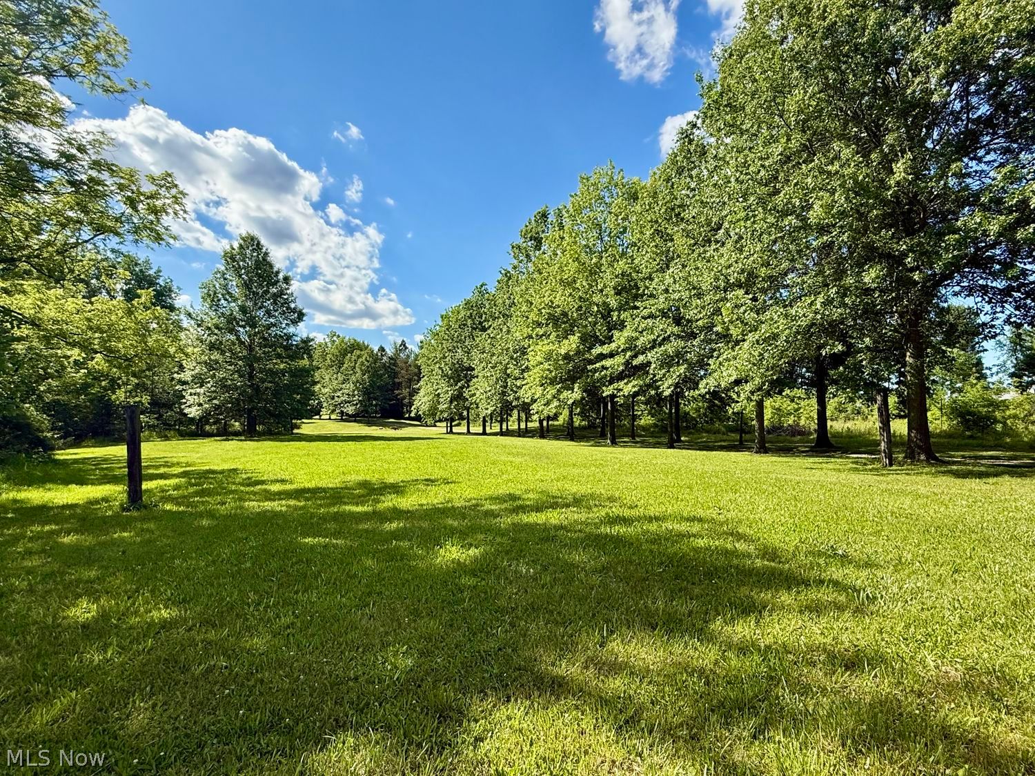 19845 Mosher Road Wellington, OH 44090 - Photo 4 of 50