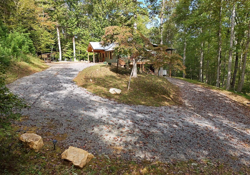 2722 Daves Road Morganton, GA 30560 - Photo 17 of 42 Gallery Image 17