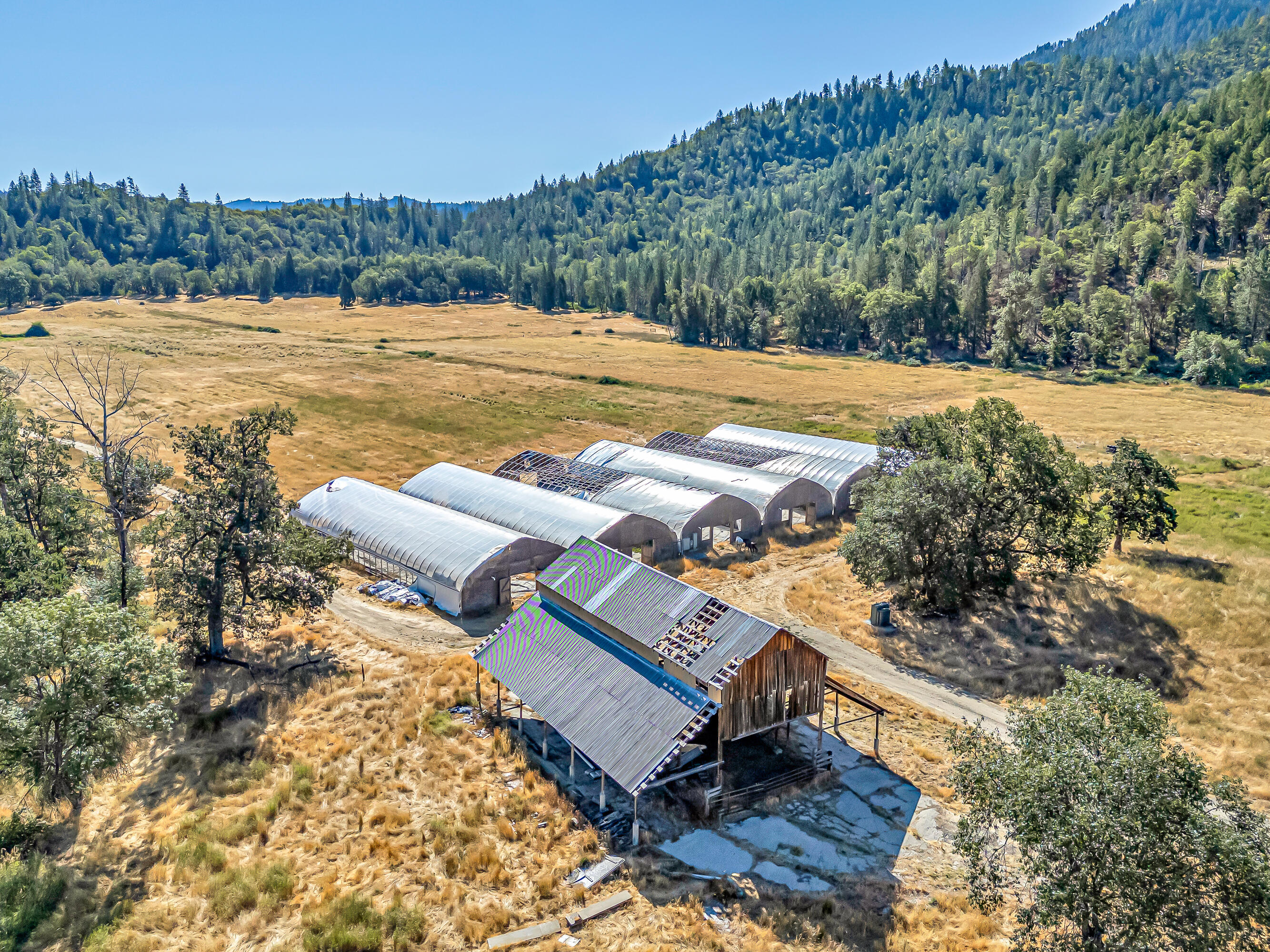 9820 East Evans Creek Road Rogue River, OR 97537 - Photo 10 of 58 DJI_20250722094903_0031_D
