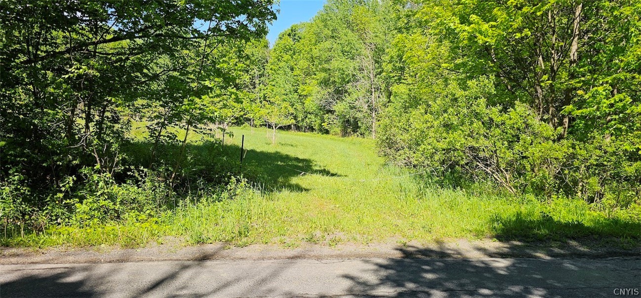 Sprouls Road Cortland, NY 13045 - Photo 40 of 48
