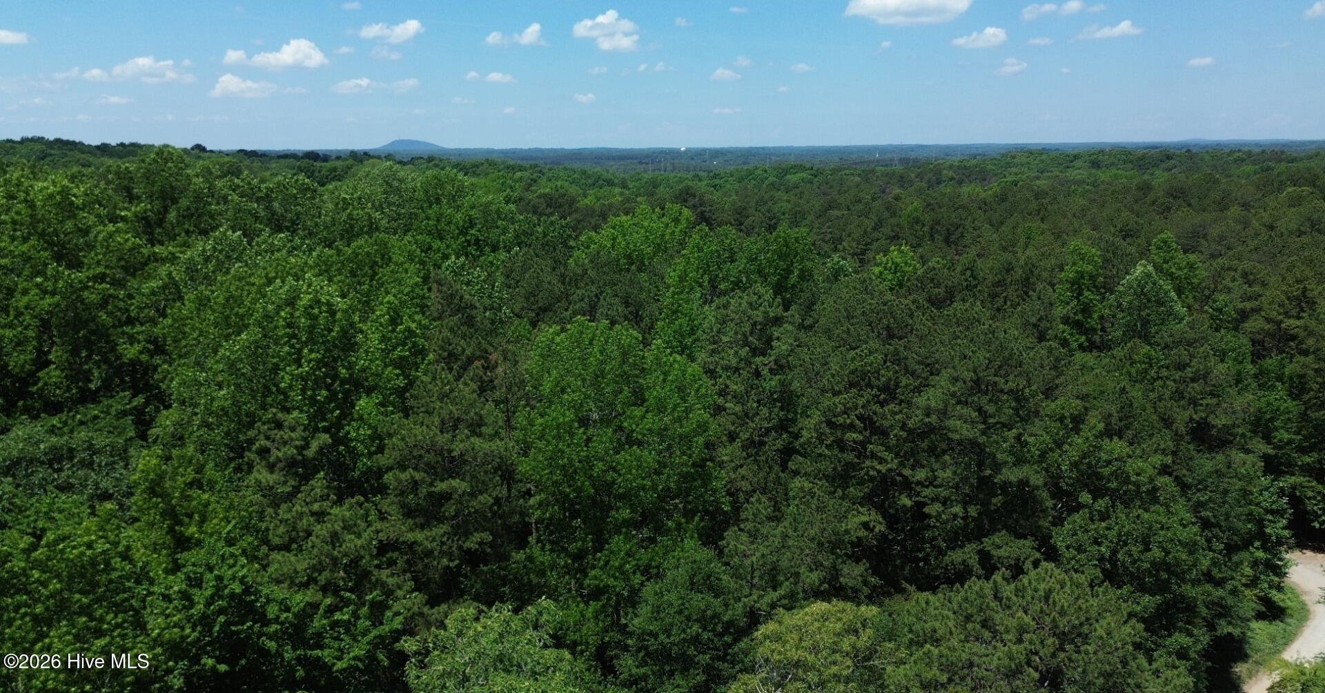 10466 Moores Chapel Road Charlotte, NC 28214 - Photo 20 of 50 Aerial Tree Line 2