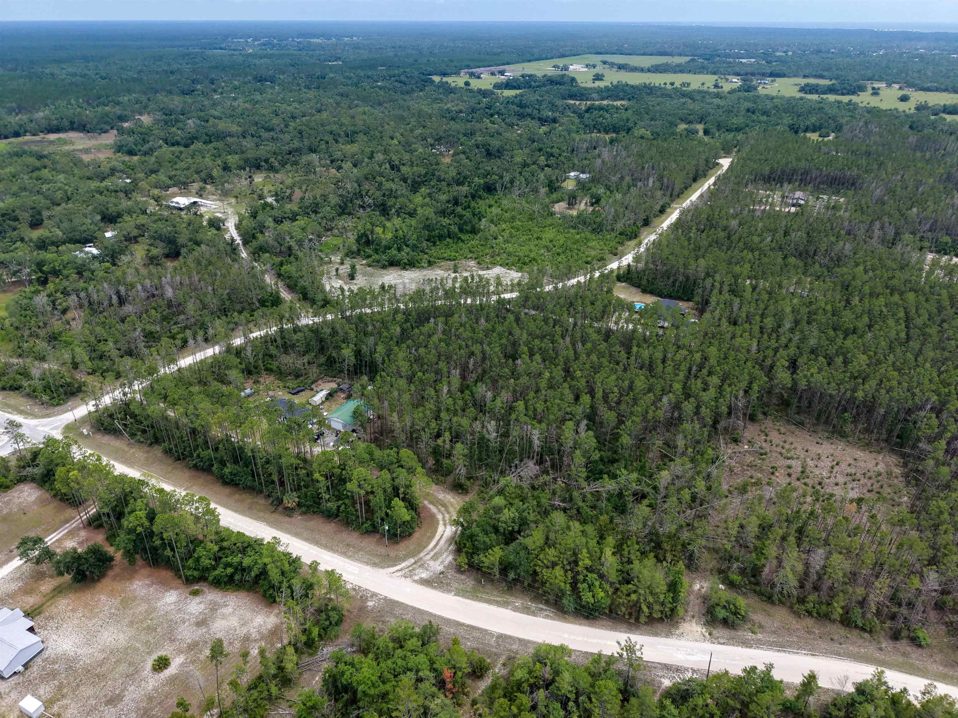 Tbd Ocean Pond Road Perry, FL 32348 - Photo 15 of 21