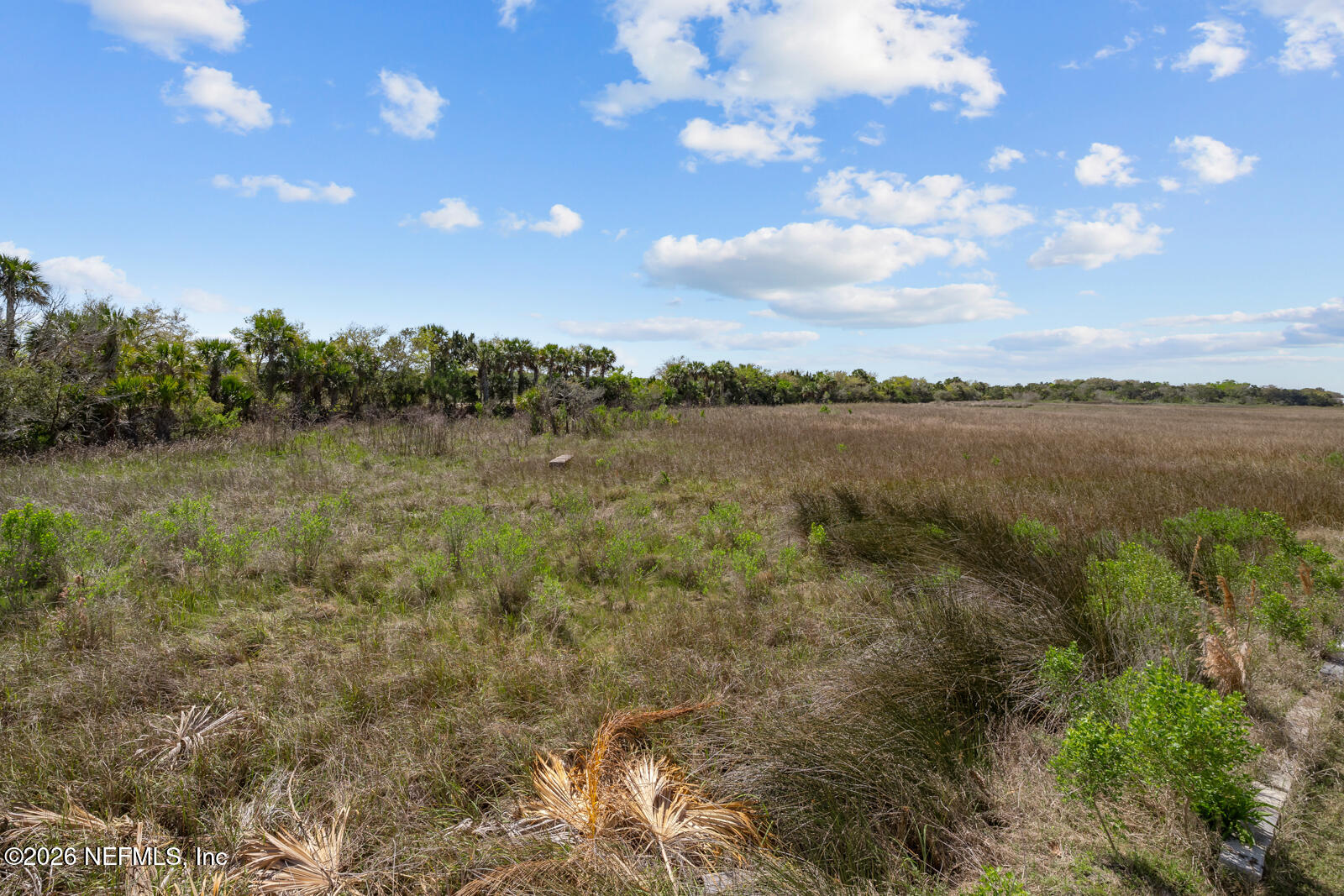 4539 Ribault Park Street Jacksonville, FL 32233 - Photo 62 of 62 Marsh view