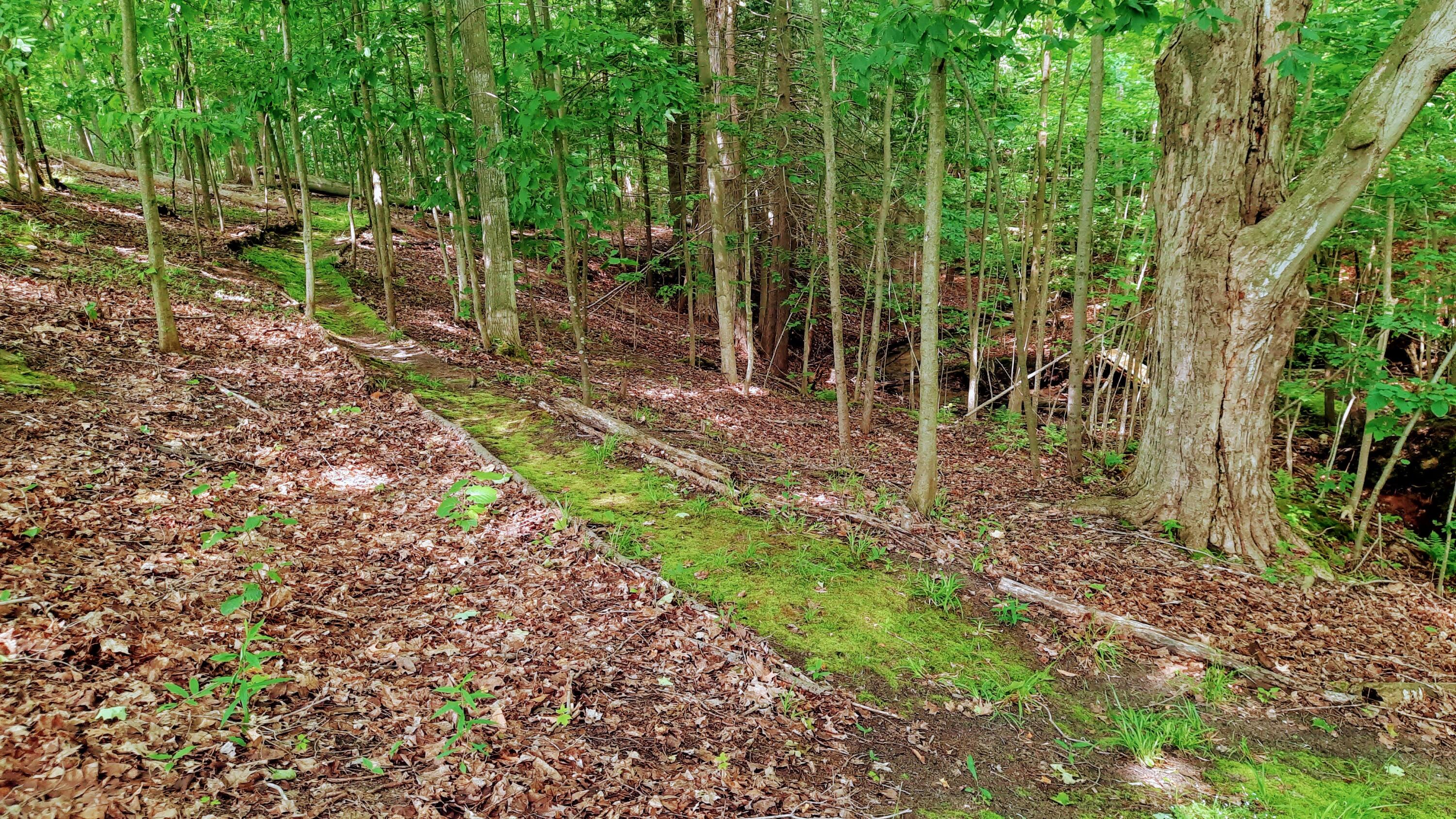 8424 3rd Street Onekama, MI 49675 - Photo 49 of 77 Woodland Trails