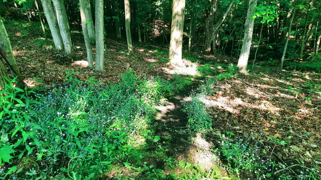 $420,000 | 8424 3rd Street, Onekama, MI 49675