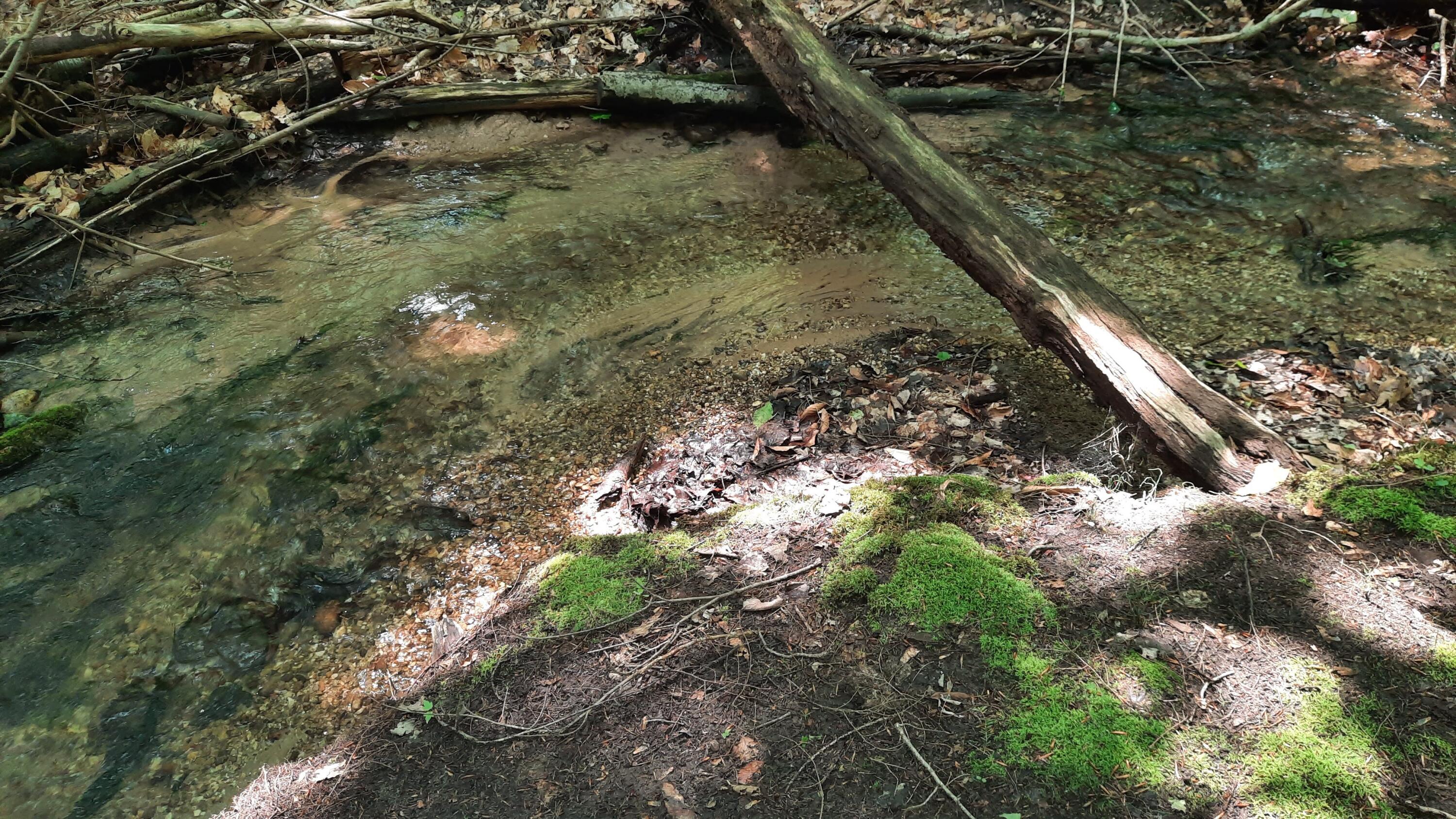 8424 3rd Street Onekama, MI 49675 - Photo 53 of 77 Creek Frontage