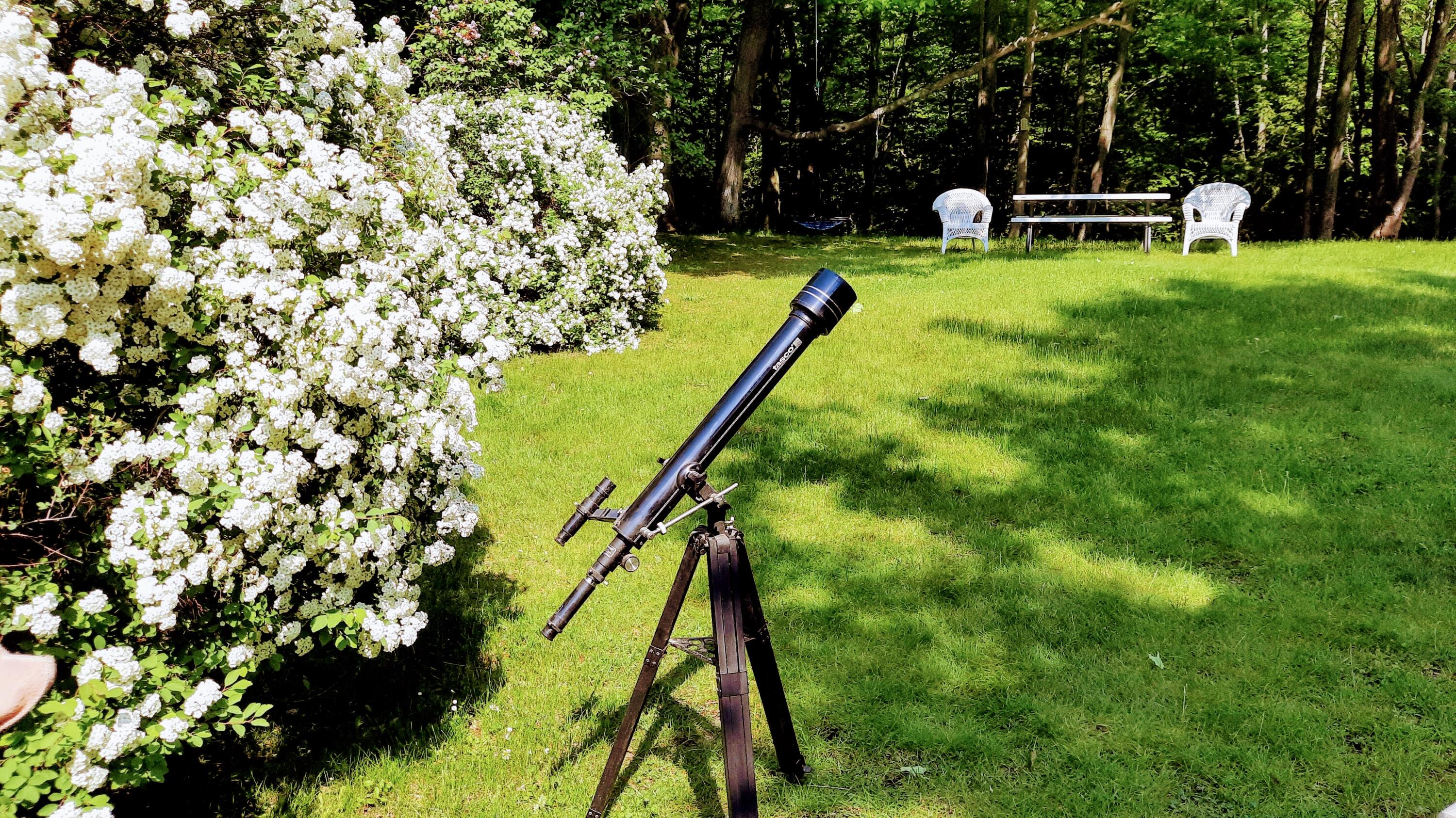 8424 3rd Street Onekama, MI 49675 - Photo 56 of 77 Dark Skies