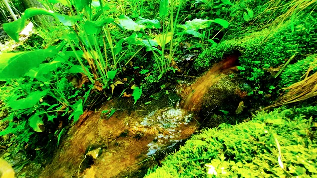 $420,000 | 8424 3rd Street, Onekama, MI 49675