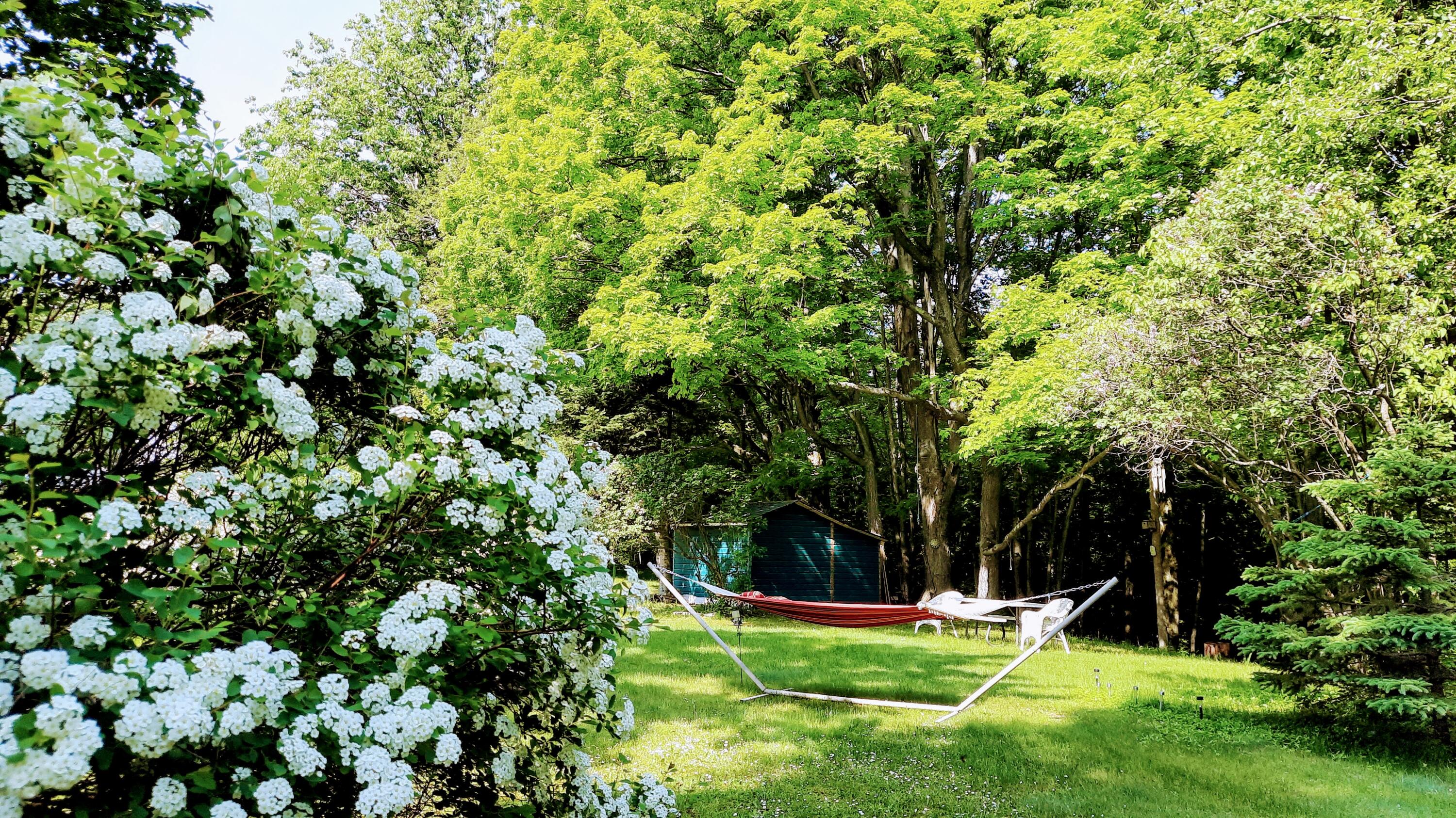 8424 3rd Street Onekama, MI 49675 - Photo 69 of 77 Flowing Bushes