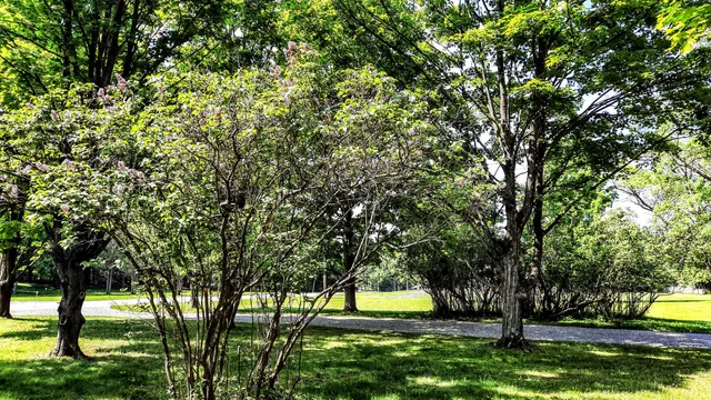 $420,000 | 8424 3rd Street, Onekama, MI 49675