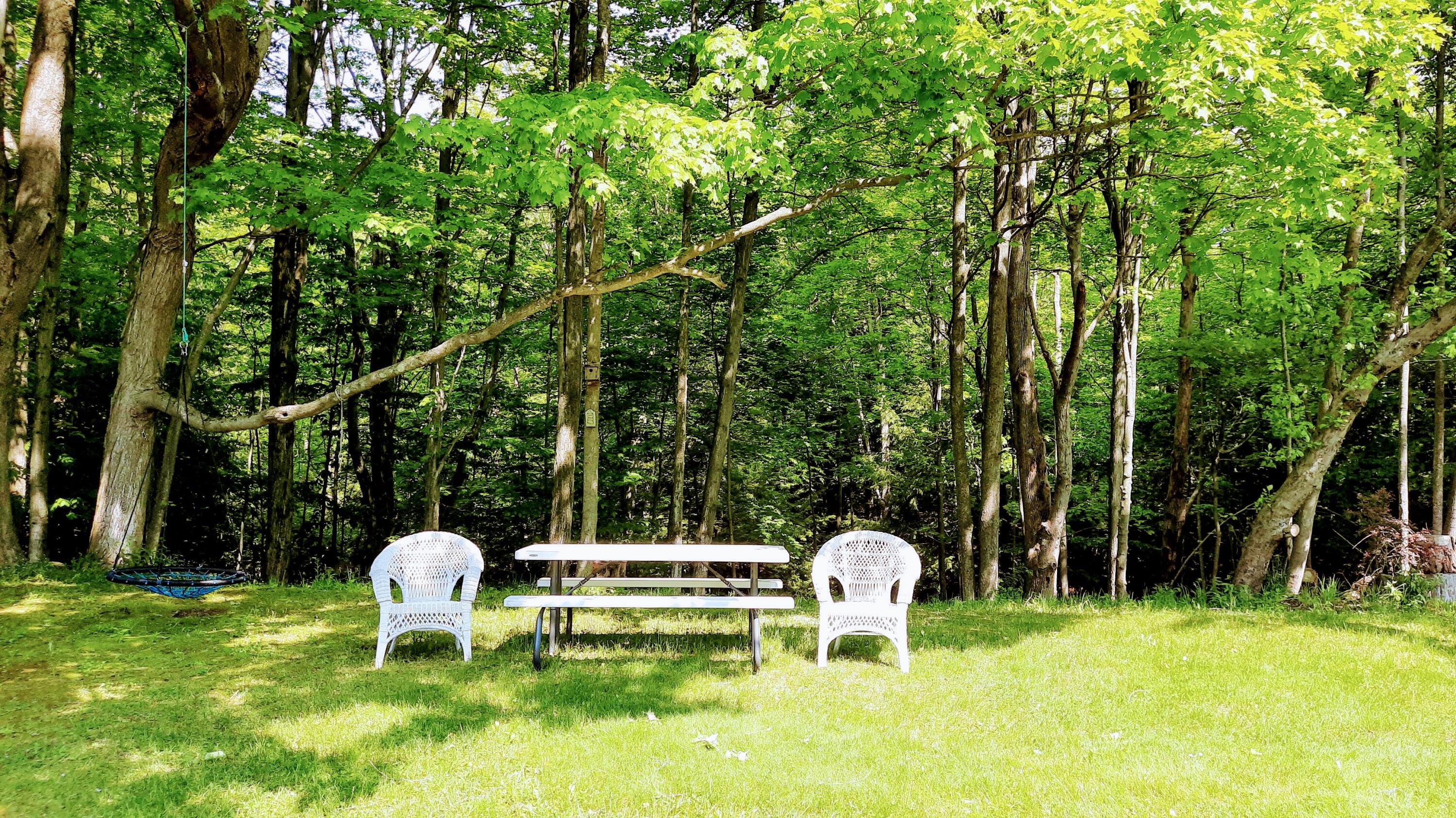 8424 3rd Street Onekama, MI 49675 - Photo 71 of 77 Quiet Woodlands