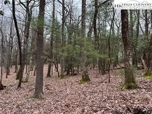 $49,900 | To Be Determined To Be Determined Country Club Road, Glade Valley, NC 28627