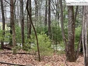 $49,900 | To Be Determined To Be Determined Country Club Road, Glade Valley, NC 28627