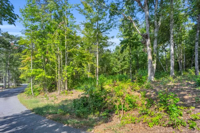 $149,500 | 101-103 George Williams Drive, Easley, SC 29640