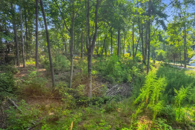 $149,500 | 101-103 George Williams Drive, Easley, SC 29640