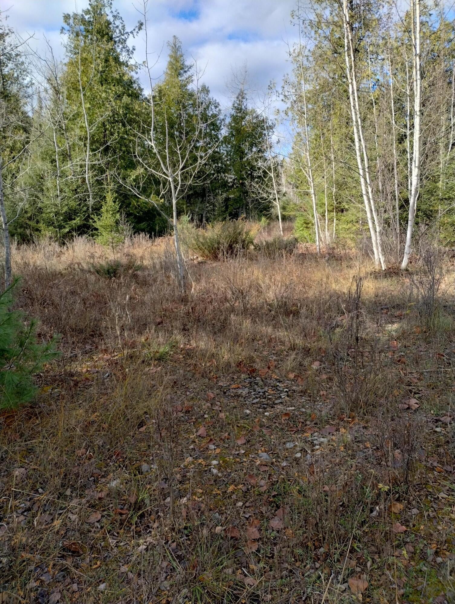 Nhn West Hamilton Road Alpena, MI 49707 - Photo 34 of 44 Gallery Image 34