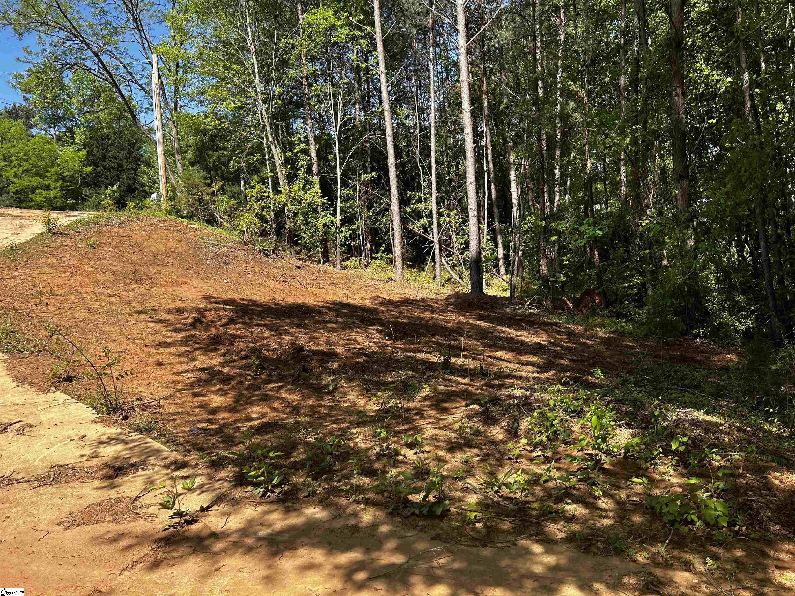 103 Lehigh Lane Easley, SC 29640 - Photo 3 of 8