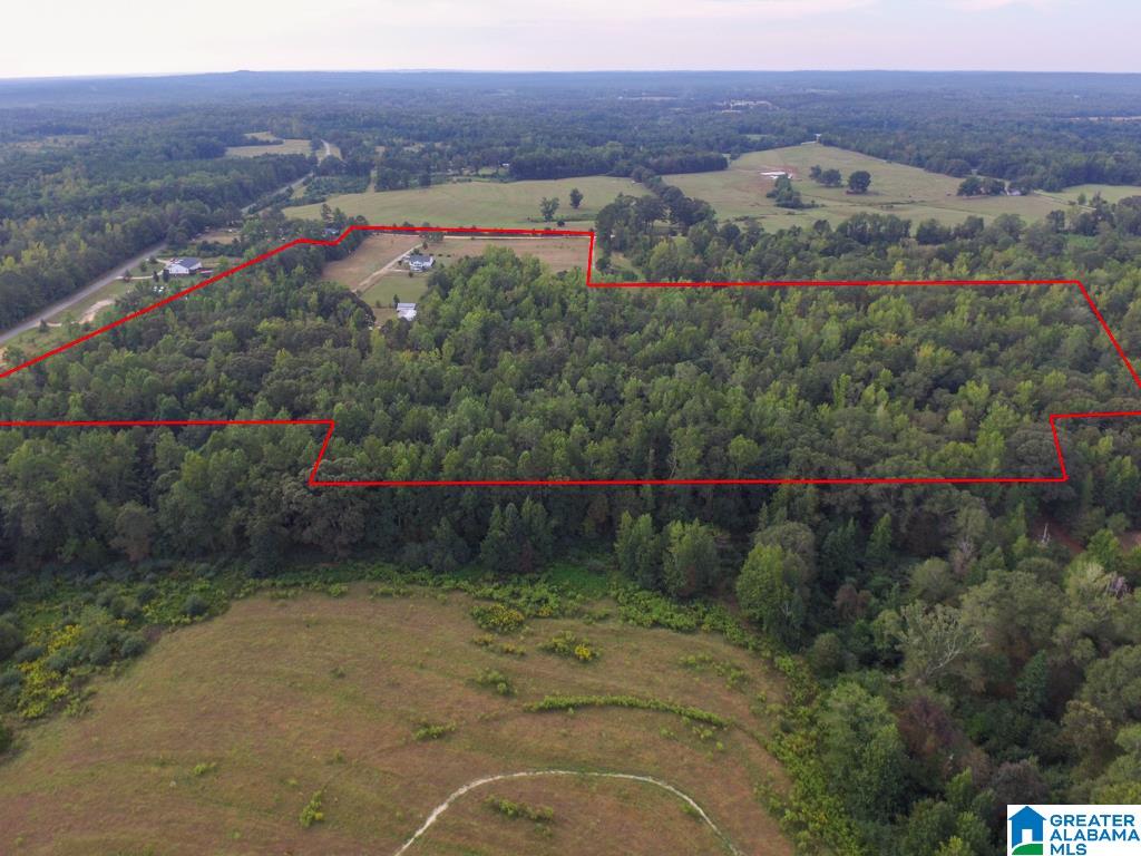 160 County Road 512 Verbena, AL 36091 - Photo 46 of 50