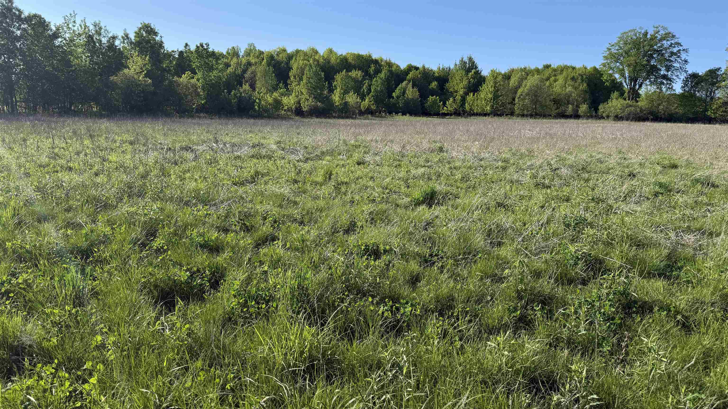 Lot 3 Eau Claire River Road Ringle, WI 54471 - Photo 23 of 28